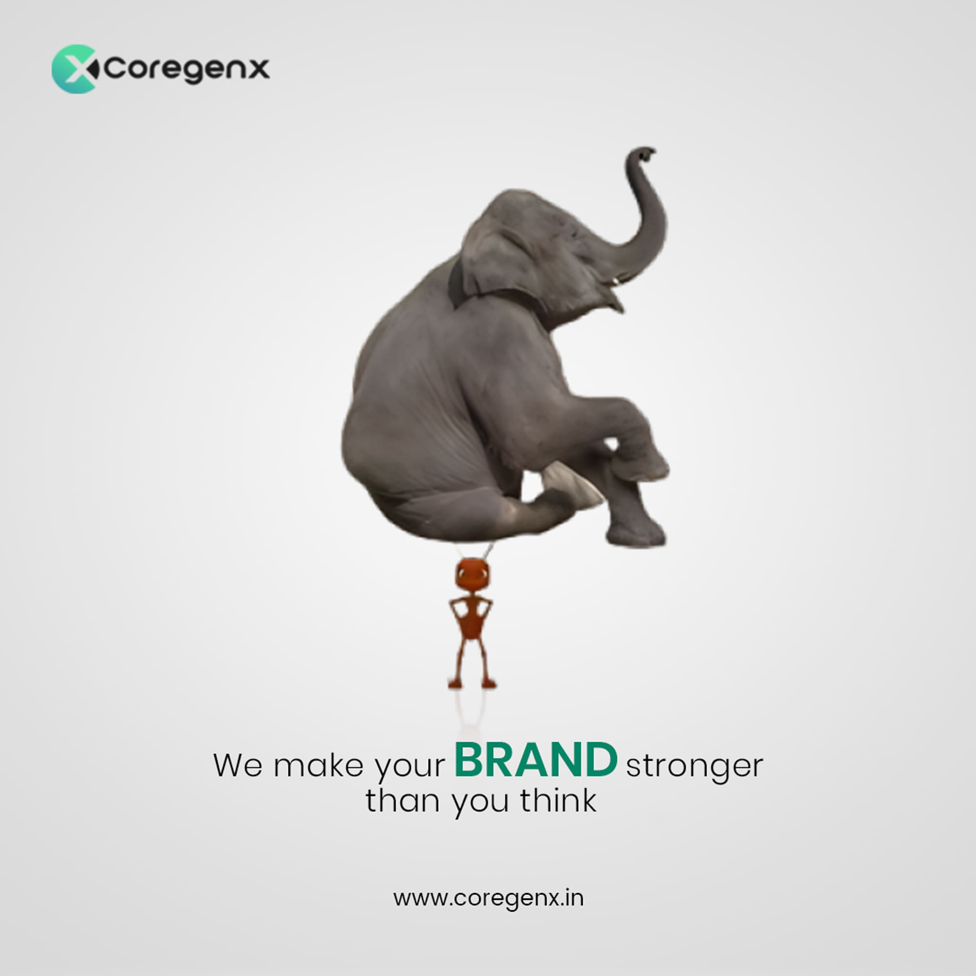 Performance Marketing Coregenx